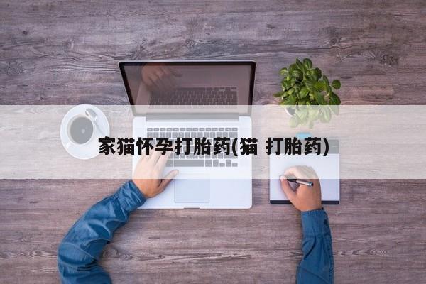 网上怎么购买打胎药联系方式家猫怀孕打胎药(猫 打胎药)