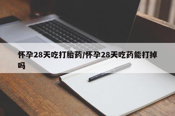 网上怎么购买打胎药联系方式怀孕28天吃打胎药/怀孕28天吃药能打掉吗